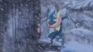 XY121 - Amphinobi de Sacha.png