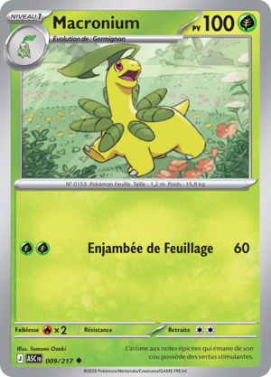 Carte Méga-Évolution Héros Transcendants 009.png