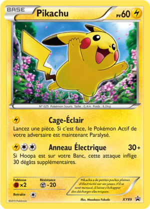 Carte Promo XY XY89.png