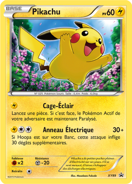 Fichier:Carte Promo XY XY89.png