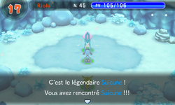 …et ils y rencontrent le légendaire Suicune !