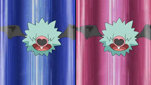 NB018 - Chovsourir.png