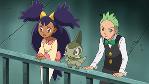 NB061 - Coupenotte d'Iris.png