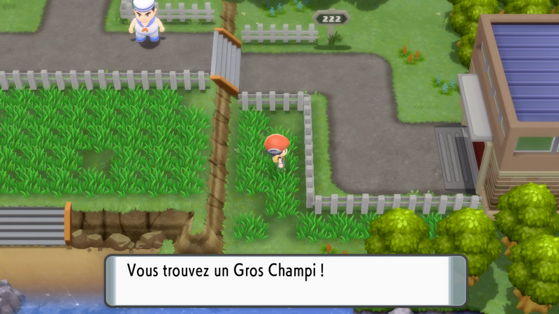 Fichier:Route 222 Gros Champi DEPS.png