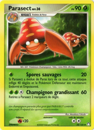 Carte Diamant & Perle Trésors Mystérieux 58.png