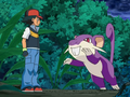 Rattata (sauvage)