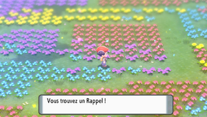 Pré de Floraville Rappel 1 DEPS.png