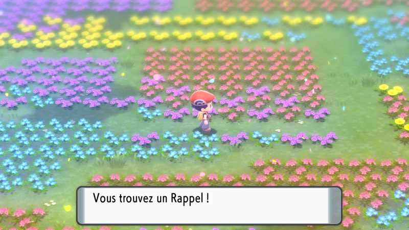 Fichier:Pré de Floraville Rappel 1 DEPS.png