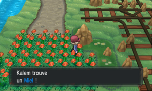 Route 18 Miel XY.png