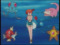 Tentacool, Ramoloss, Stari, Magicarpe et Marill