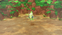 Le joueur en face de Celebi au 99e étage.