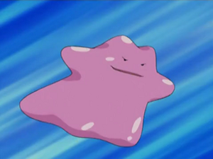 Métamorph de Brody.png