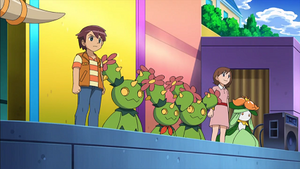 NB053 - Fragilady d'un Dresseur.png