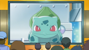 NB116 - Bulbizarre du Professeur Chen.png