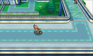 Piste Cyclable-ROSA.png