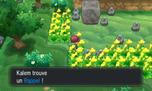 Route 10 Rappel XY.png