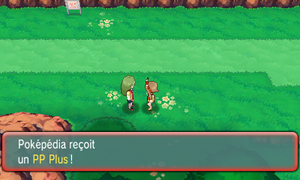 Route 111 PP Plus 2 ROSA.png