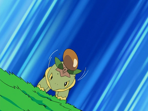 Tortipouss Vampigraine.png