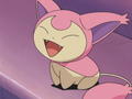 Skitty (sauvage) ► (de Flora)