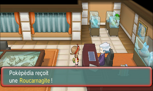 Devon SARL Roucarnagite ROSA.png