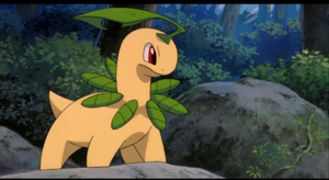 Film 04 - Macronium de Sacha.png