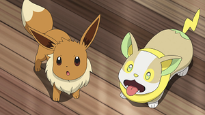 LV082 - Évoli et Voltoutou de Chloé.png