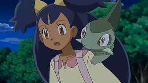 NB133 - Coupenotte d'Iris.png