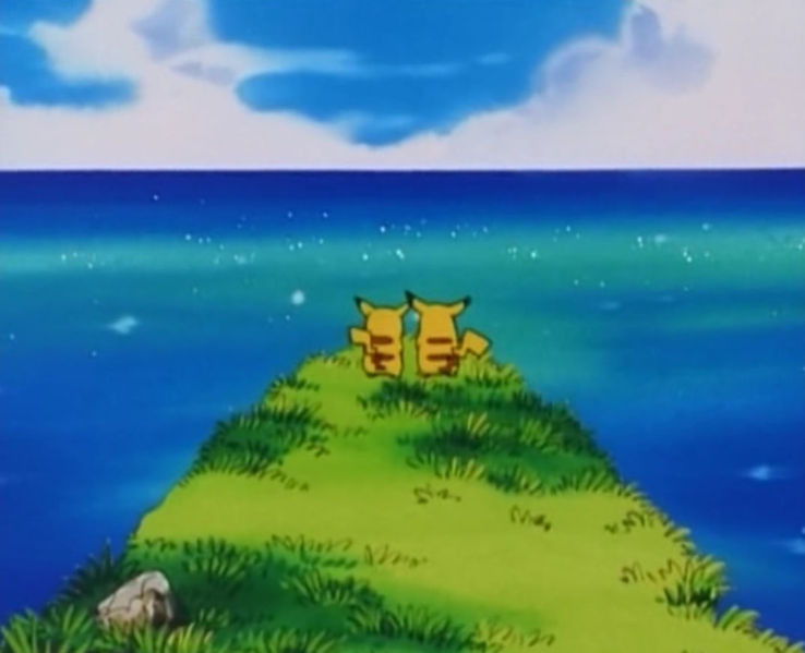 Fichier:Puka devant la mer.jpg