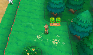 Route 115 Baie Repoi ROSA.png