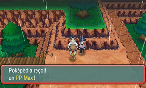 Route 119 PP Max ROSA.png