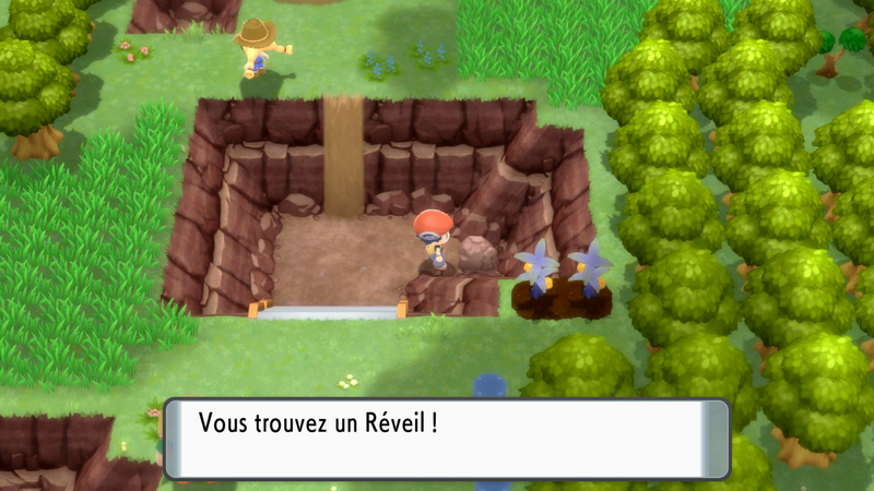 Fichier:Route 209 Réveil DEPS.png