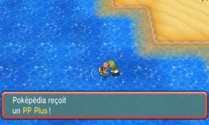 Chenal 109 PP Plus 2 ROSA.png