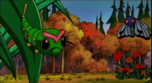 Mini-Film 05 - Chenipan et Papilusion sauvages.png