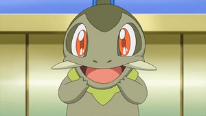 NB016 - Coupenotte d'Iris.png