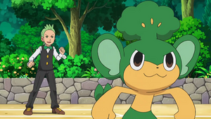 NB096 - Feuillajou de Rachid.png