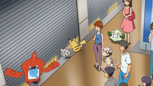 SL006 - Queulorior et Doudouvet d'un Dresseur.png