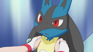 XY032 - Lucario de Cornélia.png