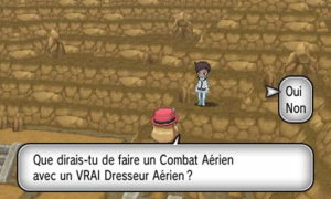 Combat Aérien-1.png