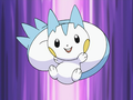 Pachirisu (d'Aurore)