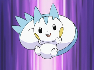 DP058 - Pachirisu d'Aurore.png