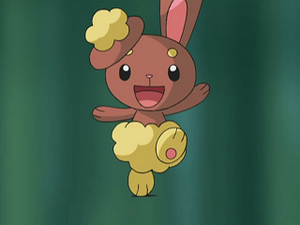 DP142 - Laporeille d'Aurore.png