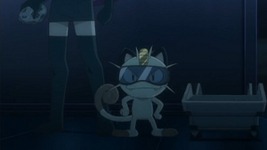 NB015 - Miaouss de la Team Rocket.png