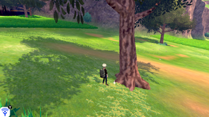 Plateau de Kickenham Petit Champi ou Gros Champi 3 EB.png