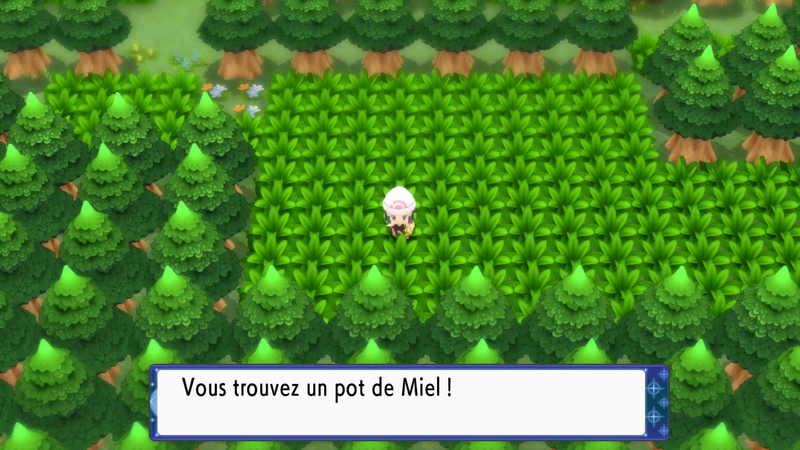 Fichier:Route 221 Miel (Objet Caché) DEPS.png