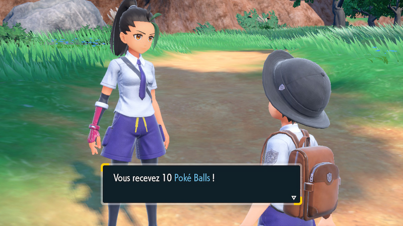 Fichier:Route de Cuchalaga EV Poké Ball 2.png