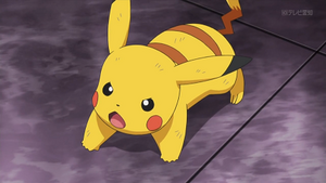 XY105 - Pikachu de Sacha.png