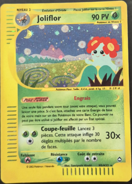 Fichier:Carte Aquapolis H5.png