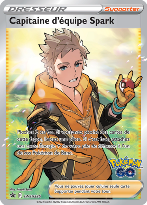 Carte Promo SWSH SWSH226.png