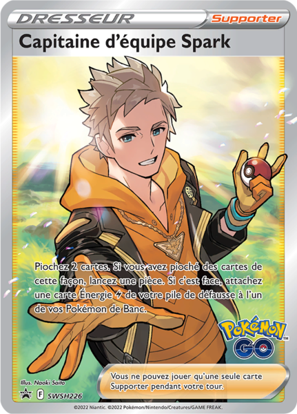 Fichier:Carte Promo SWSH SWSH226.png