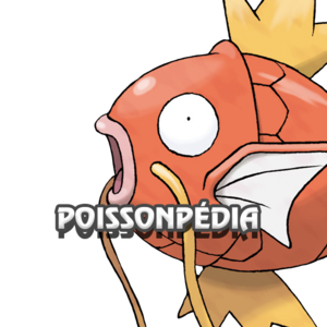 Logo Discord Poképédia Poisson d'avril 2026.png
